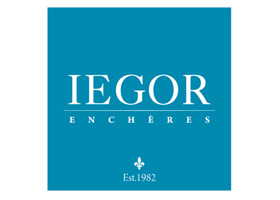 IEGOR-branding